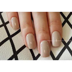 HALO VSP 8ml LADIDA sans Hema sans TPO