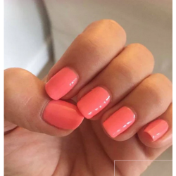 HALO VSP 8ml CORAL sans Hema sans TPO