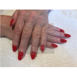 HALO VSP 8ml RED sans Hema sans TPO