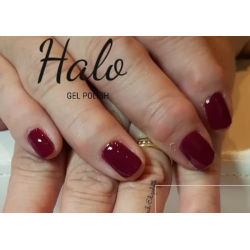 HALO VSP 8ml BURGUNDY sans Hema sans TPO