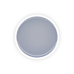 REVELATION Clear 3en1 300g Akyado (6x50g)