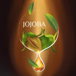 Halo Offre 6+1 Cuticule Oil 15ml Citrus 100% organic