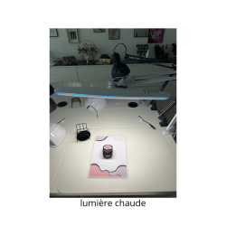 Halo Lampe Desk Lamp Pro