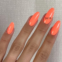 VSP 24.19 - 7g - Akyado