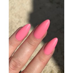 HALO VSP 8ml Motel sans Hema sans TPO