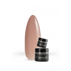 CréaBOX Naked Basics "les nudes"  4x5g (sans boite) (466 à 469)