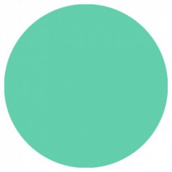 09.851 LizyLaq Color 14ml