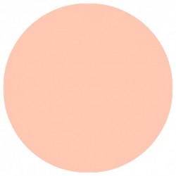 09.856 LizyLaq Color 14ml