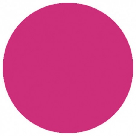 VSP 09.858 LizyLaq Color 14ml Lizbet