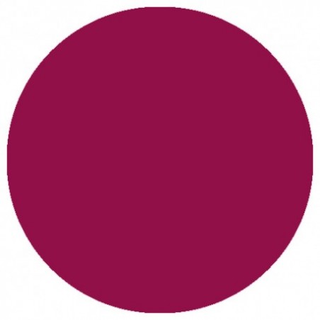 09.861 LizyLaq Color 6ml