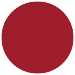 09.863 LizyLaq Color 6ml