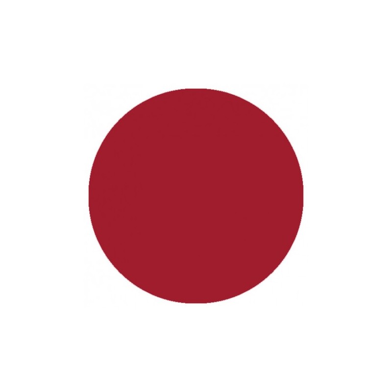 09.863 LizyLaq Color 6ml