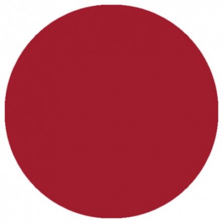 09.863 LizyLaq Color 6ml