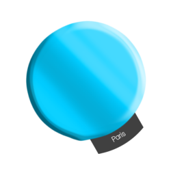 Acrylic Paris Powder 13g...