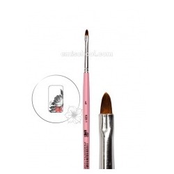 BW41 KZO_1 Oval E.Mi Gamme...