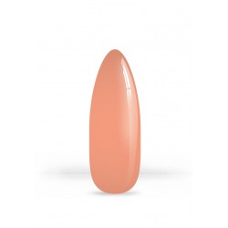 VSP 21.28 - 7g - Akyado