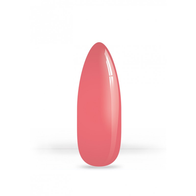 VSP 21.43 - 7g - Akyado