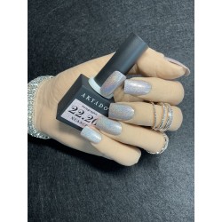 VSP 22.20 holographique - 7g - Akyado